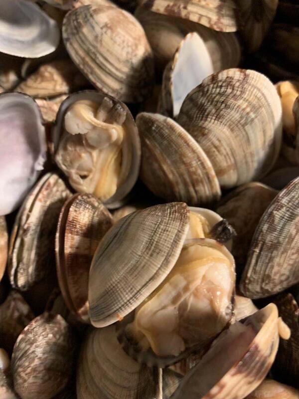 Baby Clams
